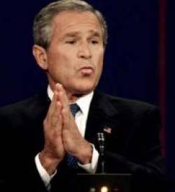 Bush