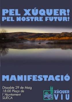 Cartell mani 29 maig 1