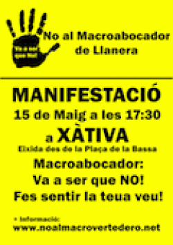 Manifestacin15mayo