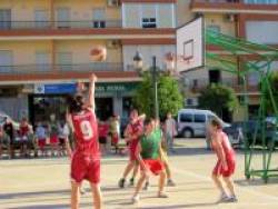 Basquet