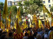 Bloc de l'EI i la CUP