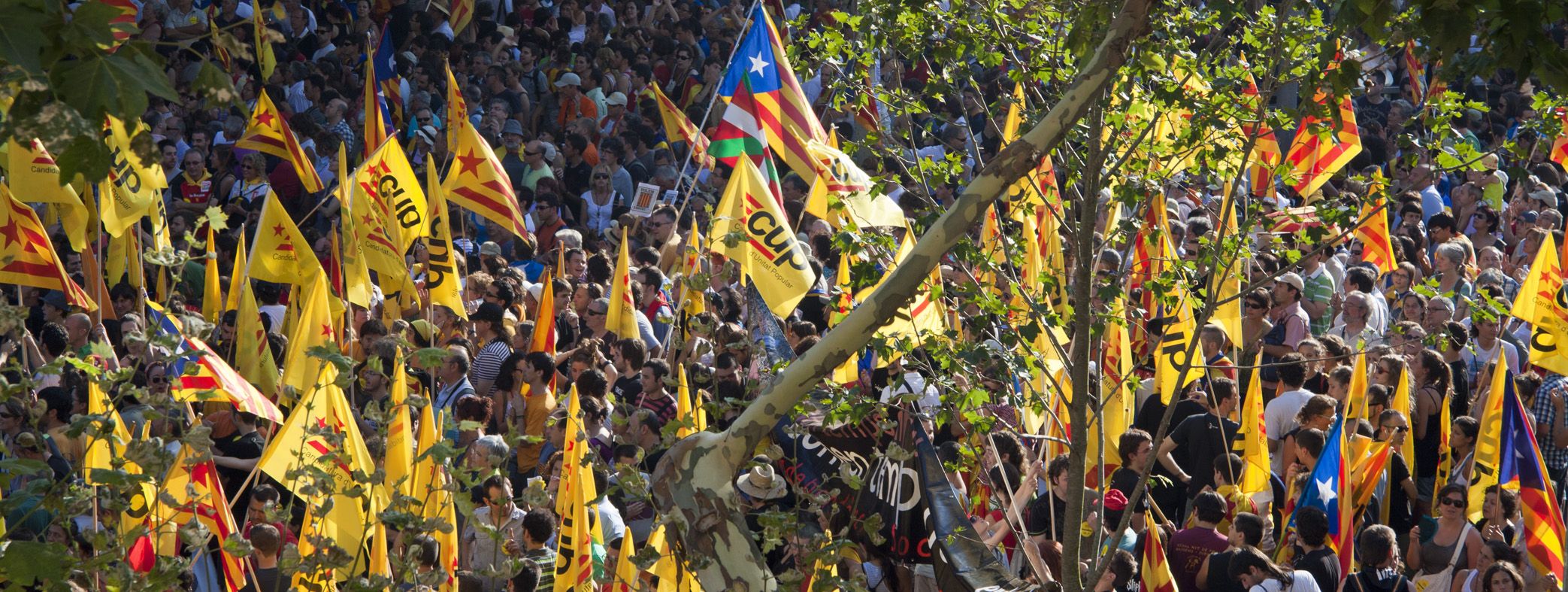 Bloc de la CUP