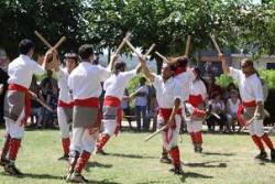 Copdegarrot