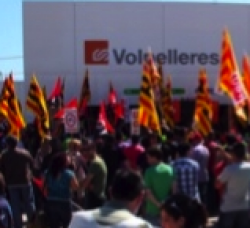 Fgv1