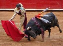 Crueltat cultural 2