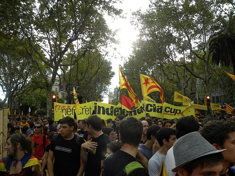 Manifestaci&oacute;