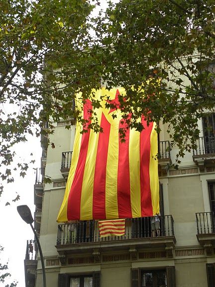 Manifestaci&oacute;