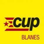 La CUP de Blanes entrega 3150 euros a entitats amb el projecte �Diners al carrer�
