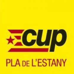 Cup pla estany color