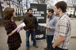 Cup086