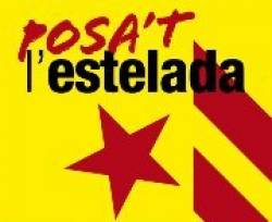 110331 cartell estelada retallatx180