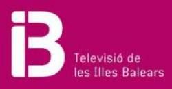 Ib3 logo