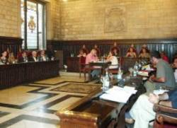 Ple municipal girona copy