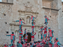 Festa de la Mare de Déu de la Salut d'Algemesí 