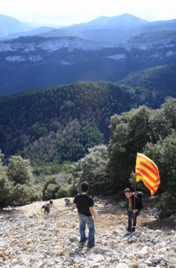 Homenatge a en Cisquet