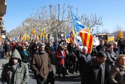 Centenars de persones s'han manifestat aquest dissabte a Lleida