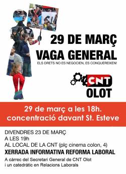 Vaga general a Olot