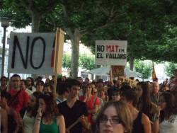 Manifestaci&oacute; a Tremp contra la l&iacute;nia de Molt Alta Tensi&oacute; al Pallars