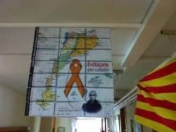 El català continua amenaçat
