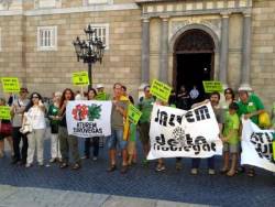 La Plaça Sant Jaume s'ha omplert per rebutjar Eurovegas