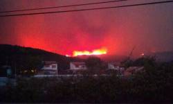 &#8203;Incendi de Corts de Pallàs