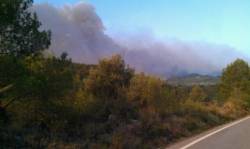 &#8203;Incendi de Corts de Pallàs