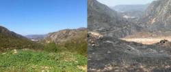 L'aspecte de Dosaigües abans i després de l'incendi