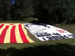Rebrot 2012 24