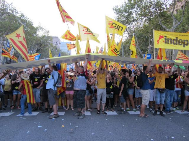 Bloc de la CUP a la manifestació de l'ANC