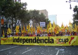 Manifestació de la CUP