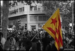 L'estelada, la bandera de combat