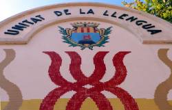 Unitat de la llengua