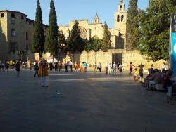 Cadena Humana a Sant Cugat del Vallès 6.07.2013