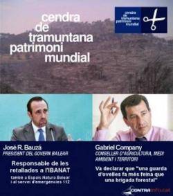 Les retallades en la prevenció d'incendis forestals