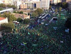 Unes 60.000 persones s'han manifestat a Palma