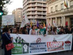 Protesta a Castelló contra la Llei Wert