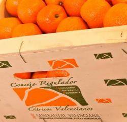 2002 Els Estats Units aixequen el veto a les clementines valencianes