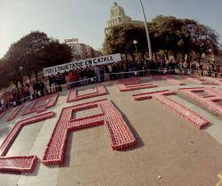 El 12 de desembre de 1993  es van aplegar 15.000 llaunes a la plaça de Catalunya