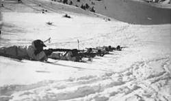 Esquiadors Pirinencs fent maniobres a la Molina