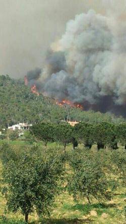 Incendi forestal a Calonge i Vall-llobrega