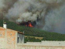 Incendi forestal a Calonge i Vall-llobrega