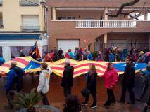Estelada gegant a la manifestació de la PDE