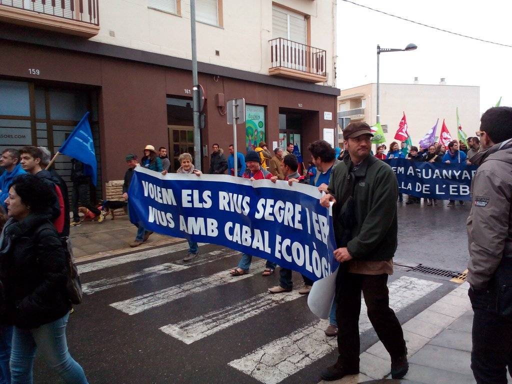 Manifestació de la PDE