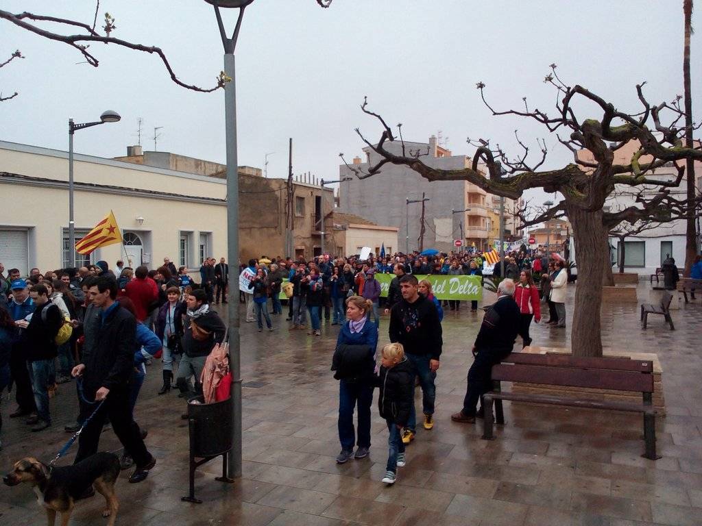 Manifestació de la PDE