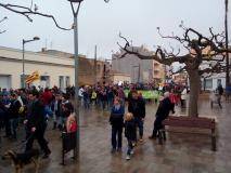 Manifestació de la PDE