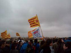 Manifestació de la PDE (Arxiu)