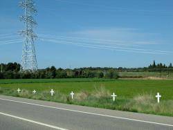 Ahir a diversos trams de la MAT al Gironès i a lEmpordà es van col·locar creus com a símbol de dol pel que suposarà la línia de Molt Alta Tensió pel territori.