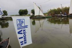 Més de mig miler de persones reclamen al Palmar més aigua i de qualitat per l'Albufera