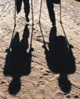 1996 Se signa a Ginebra un acord contra les mines antipersones