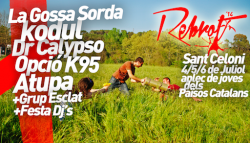 Rebrot 2014